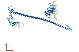 AlphaFold protein structure predicition of Mouse Recombinant Trim17 Protein, UniprotID Q7TPM3 (TRIM17 / RNF16 Protein (TRIM17) (AA 1-477) (His tag))