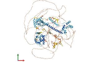 Protein Structure (PS) image for Nuclear Factor Related To KappaB Binding Protein (NFRKB) (AA 1-1299) protein (His tag) (ABIN7554743)