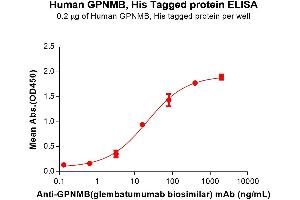 ELISA plate pre-coated by 2 μg/mL (100 μL/well) Human GPNMB Protein, His Tag (ABIN7455790, ABIN7491428 and ABIN7491429) can bind Anti-GPNMB(glembatumumab biosimilar) mAb ((ABIN7538764)) in a linear range of 3.