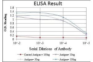 Red: Control Antigen (100 ng), Purple: Antigen (10 ng), Green: Antigen (50 ng), Blue: Antigen (100 ng), (CDK1 antibody)