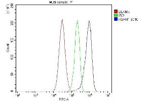 Flow Cytometry analysis of HepG2 cells using anti-HSPH1 antibody (ABIN7602237).
