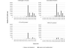 IgG responses to SARS-CoV-2 N protein variants. (Chicken anti-Human IgG (Heavy & Light Chain) Antibody (Biotin))