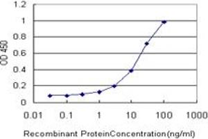 Detection limit for recombinant GST tagged ORC4L is approximately 1ng/ml as a capture antibody. (ORC4 antibody  (AA 1-248))