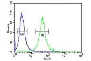 GATA2 antibody flow cytometric analysis of 293 cells (green) compared to a negative control (blue). (GATA2 antibody  (AA 262-288))