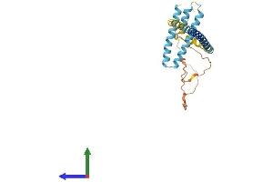 Protein Structure (PS) image for Receptor Accessory Protein 4 (REEP4) (AA 1-257) protein (His tag) (ABIN7551278)