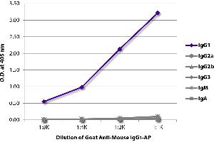 ELISA plate was coated with purified mouse IgG1, IgG2a, IgG2b, IgG3, IgM, and IgA. (Goat anti-Mouse IgG1 Antibody (Alkaline Phosphatase (AP)))
