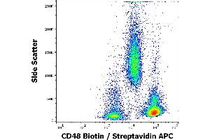 Flow cytometry surface staining pattern of human peripheral whole blood stained using anti-human CD48 (MEM-102) Biotin antibody (GAM APC, concentration in sample 1,7 μg/mL). (CD48 antibody  (Biotin))
