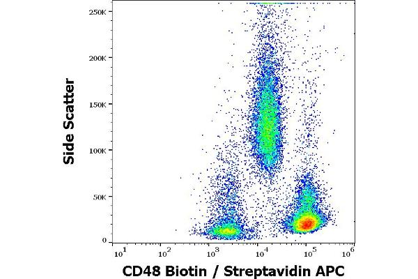 CD48 antibody  (Biotin)