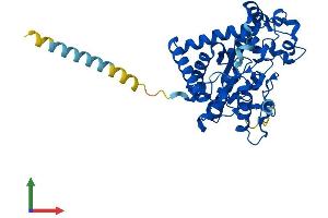 AlphaFold protein structure predicition of Mouse Recombinant Gal3st2 Protein, UniprotID Q6XQH0