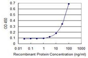 Detection limit for recombinant GST tagged SCNN1G is 1 ng/ml as a capture antibody. (SCNN1G antibody  (AA 101-200))