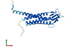 Protein Structure (PS) image for Lipoma HMGIC Fusion Partner-Like 5 (LHFPL5) (AA 1-219) protein (His tag) (ABIN7557386)