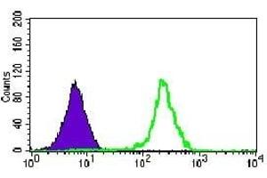 Flow cytometric analysis of HeLa cells using KIAA1967 mouse mAb (green) and negative control (purple). (CCAR2 antibody)