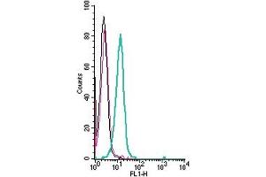 Cell surface detection of Plexin-A4 by indirect flow cytometry in live intact human  monocytic leukemia cell line: + goat-anti-rabbit-FITC.