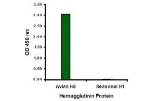 ELISA image for anti-Hemagglutinin antibody (Influenza A Virus H5N1) (ABIN1031719) (Hemagglutinin antibody)