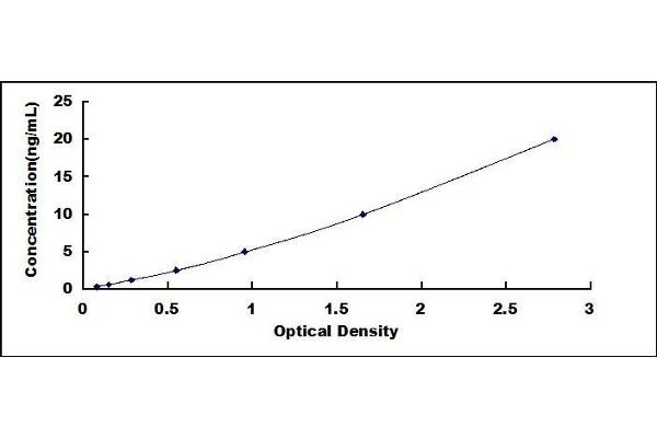 STMN2 ELISA Kit