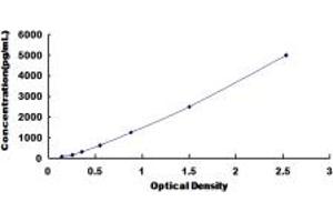 Typical standard curve (ADAMTS1 ELISA Kit)