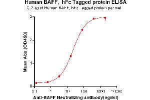 ELISA plate pre-coated by 2 μg/mL (100 μL/well) Human BAFF, hFc tagged protein (ABIN6961113, ABIN7042255 and ABIN7042256) can bind Anti-BAFF Neutralizing antibody ABIN7093063 and ABIN7272593 in a linear range of 3.