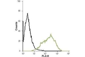 Cell surface detection of Prokineticin receptor 1 in live intact WEHI-231 (mouse B cell lymphoma) cell lines: (black line) Untstained cells + goat-anti-rabbit-Phycoerythrin (PE). (Prokineticin Receptor 1 antibody  (Extracellular))