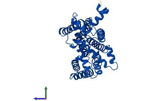 AlphaFold protein structure predicition of Mouse Recombinant Mt-Cyb Protein, UniprotID P00158