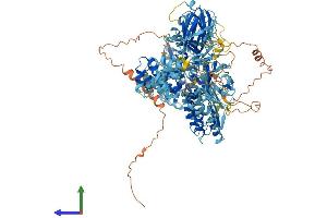 AlphaFold protein structure predicition of Mouse Recombinant Nlrp1a Protein, UniprotID Q2LKU9 (Nlrp1a Protein (AA 1-1182) (His tag))