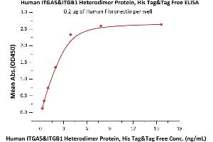 Immobilized Human Fibronectin at 2 μg/mL (100 μL/well) can bind Human ITGA5&ITGB1 Heterodimer Protein, His Tag&Tag Free (ABIN5955011,ABIN6253666) with a linear range of 0.