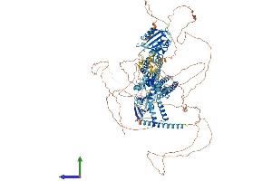 AlphaFold protein structure predicition of Mouse Recombinant Kcnh7 Protein, UniprotID Q9ER47