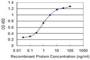 Detection limit for recombinant GST tagged SPA17 is 0. (SPA17 antibody  (AA 51-149))