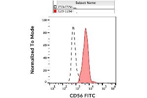 Surface staining of human peripheral blood with anti-human CD56 (LT56) FITC. (CD56 antibody  (FITC))
