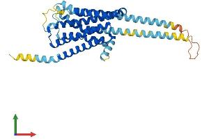 AlphaFold protein structure predicition of Human Recombinant HTR1F Protein, UniprotID P30939