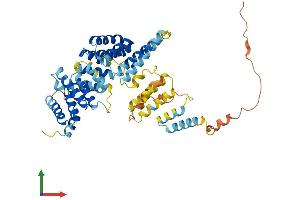AlphaFold protein structure predicition of Human Recombinant IFIT3 Protein, UniprotID O14879 (IFIT3 Protein (AA 1-490) (His tag))