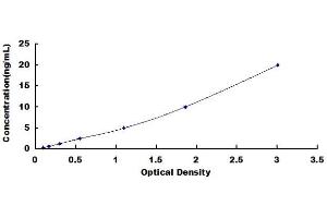 Typical standard curve (RGS5 ELISA Kit)