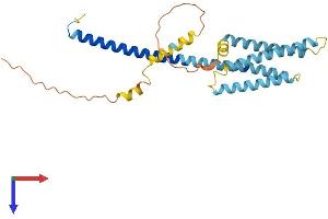 Protein Structure (PS) image for Hydrogen Voltage-Gated Channel 1 (HVCN1) (AA 1-269) protein (His tag) (ABIN7557139)
