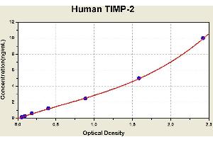 Diagramm of the ELISA kit to detect Human T1 MP-2with the optical density on the x-axis and the concentration on the y-axis. (TIMP2 ELISA Kit)