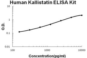 Human Kallistatin/Serpina4 PicoKine ELISA Kit standard curve