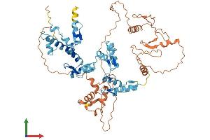 Protein Structure (PS) image for Zinc Finger Protein 248 (ZNF248) (AA 1-579) protein (His tag) (ABIN7545539)