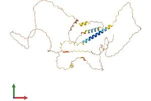 AlphaFold protein structure predicition of Mouse Recombinant Ajap1 Protein, UniprotID A2ALI5