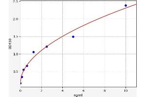 Typical standard curve (ZNRF2 ELISA Kit)