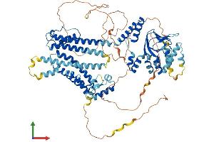 AlphaFold protein structure predicition of Human Recombinant HCN3 Protein, UniprotID Q9P1Z3