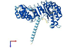 Leucine Rich Repeat Containing 14B (LRRC14B) (AA 1-514) protein (His tag)