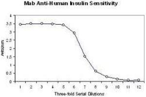 Image no. 1 for anti-Insulin (INS) antibody (ABIN129507) (Insulin antibody)