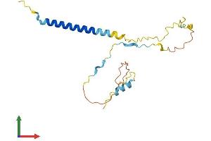 Protein Structure (PS) image for T Cell Receptor Associated Transmembrane Adaptor 1 (TRAT1) (AA 1-187) protein (His tag) (ABIN7557285)