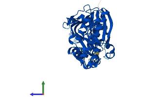 AlphaFold protein structure predicition of Human Recombinant PANK3 Protein, UniprotID Q9H999 (PANK3 Protein (AA 1-370) (His tag))
