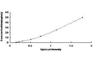 SECTM1 ELISA Kit