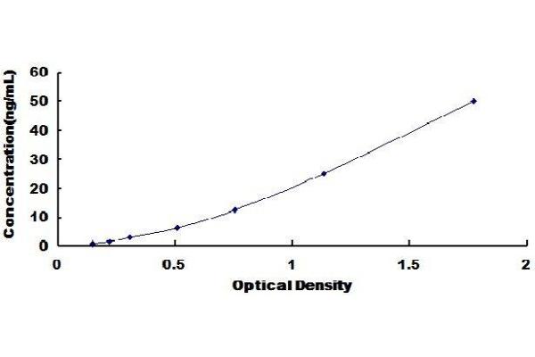 SECTM1 ELISA Kit