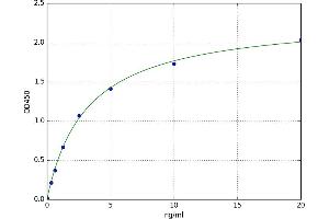 Adenosine A1 Receptor (ADORA1) ELISA Kit