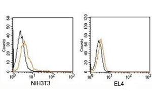 FACS testing of Rabbit IgG isotype control antibody PE conjugate on mouse samples. (Rabbit IgG isotype control (PE))