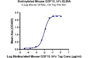 Immobilized Mouse GFRAL, His Tag at 2 μg/mL (100 μL/Well) on the plate. (GDF15 Protein (AA 189-303) (Fc Tag,Biotin))