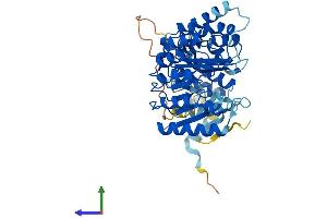 AlphaFold protein structure predicition of Human Recombinant PRAMEF7 Protein, UniprotID Q5VXH5 (PRAMEF7 Protein (AA 1-474) (His tag))