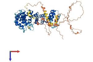 Chromosome 17 Open Reading Frame 66 (C17orf66) (AA 1-569) protein (His tag)