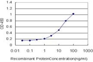 Detection limit for recombinant GST tagged EBI3 is approximately 0. (EBI3 antibody  (AA 129-229))